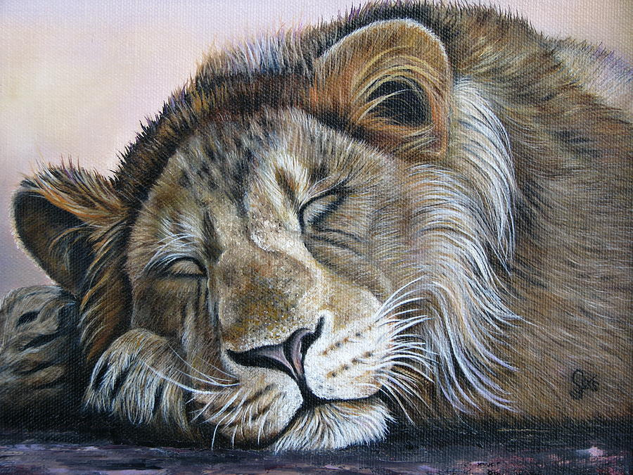 Sleeping Lion Painting By Shirley C Checkos Fine Art America