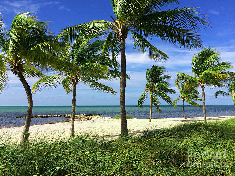 Smathers Beach Key West Florida #2 Photograph by Kimberly Blom-Roemer