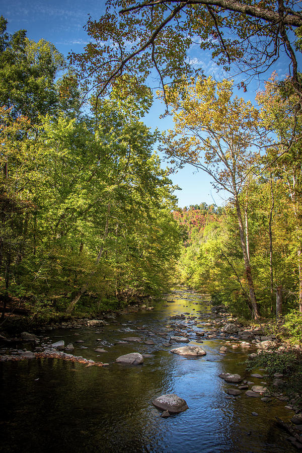 Smokies Creek Photograph by Sharin Gabl - Fine Art America