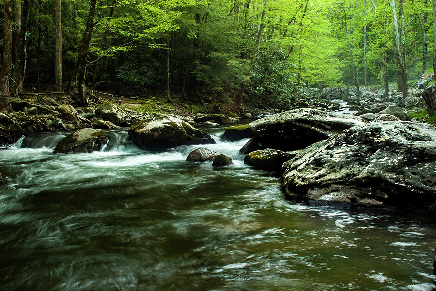 Smoky Mountain River Photograph by Jay Stockhaus