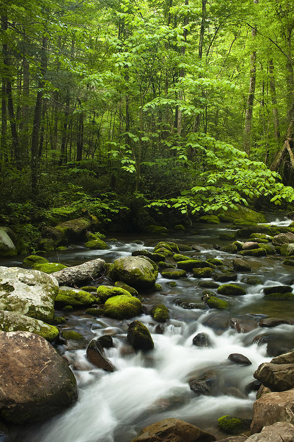 Nature Photograph - Smoky Mountain Stream #1 by Andrew Soundarajan