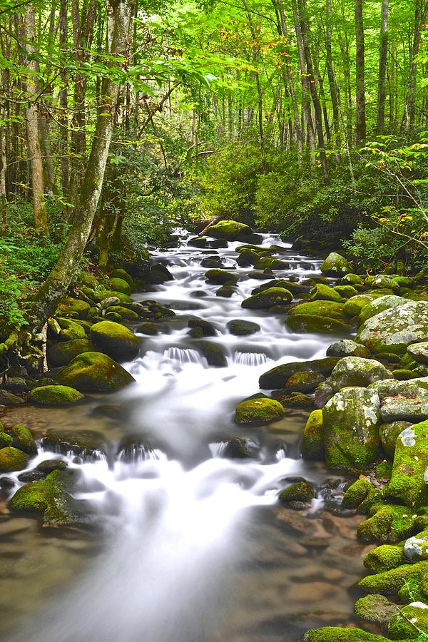 Smoky Mountain Stream #1 Photograph by Frozen in Time Fine Art Photography