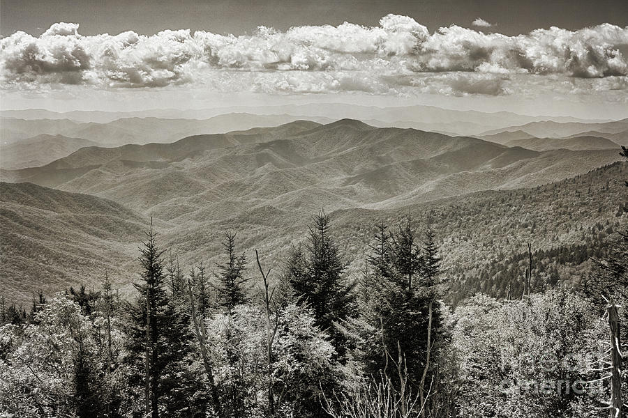 Smoky Mountains in Black and White Photograph by Tom Gari Gallery-Three ...