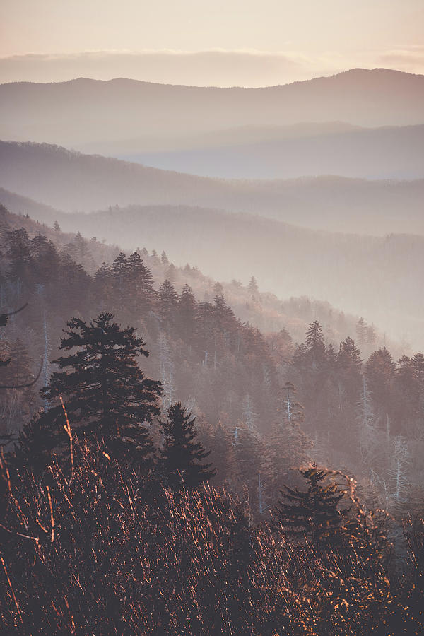 Smoky mountains #1 Photograph by Mati Krimerman