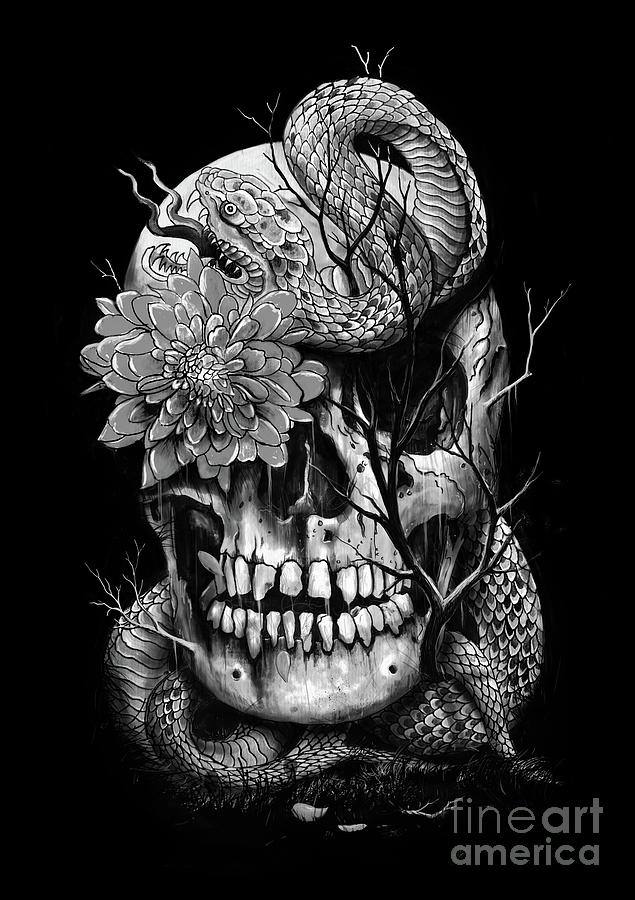 Snake Digital Art - Snake and Skull #1 by Nicebleed 