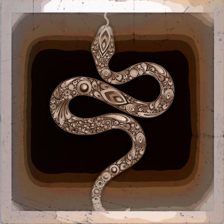 Snake Digital Art by REA Gallery