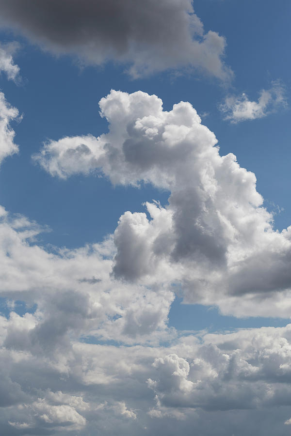 Snoopy Cloud #1 Photograph by David Pyatt