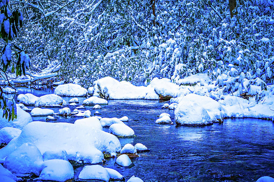 Snow And Ice Covered Mountain Stream #1 Photograph by Alex Grichenko