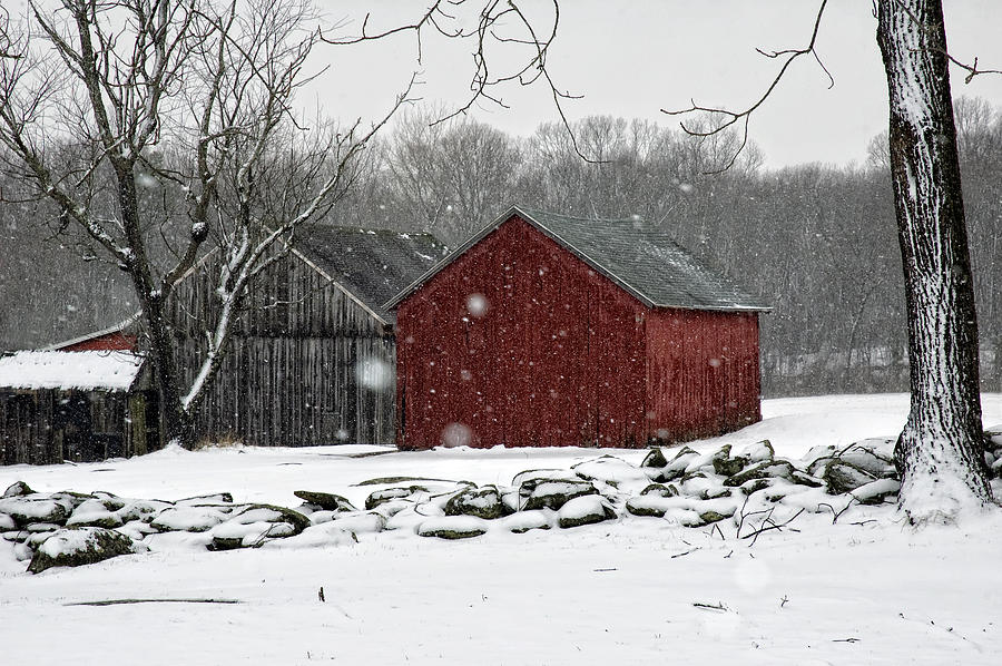Snow Barns #1 Photograph by Ross Powell