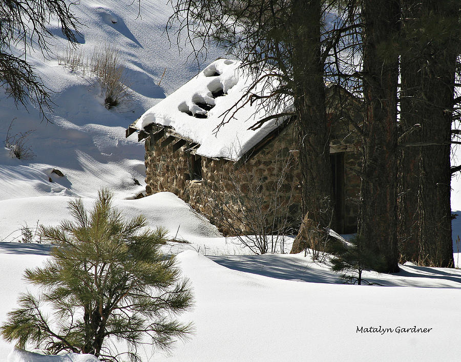Snow Cabin Photograph by Matalyn Gardner