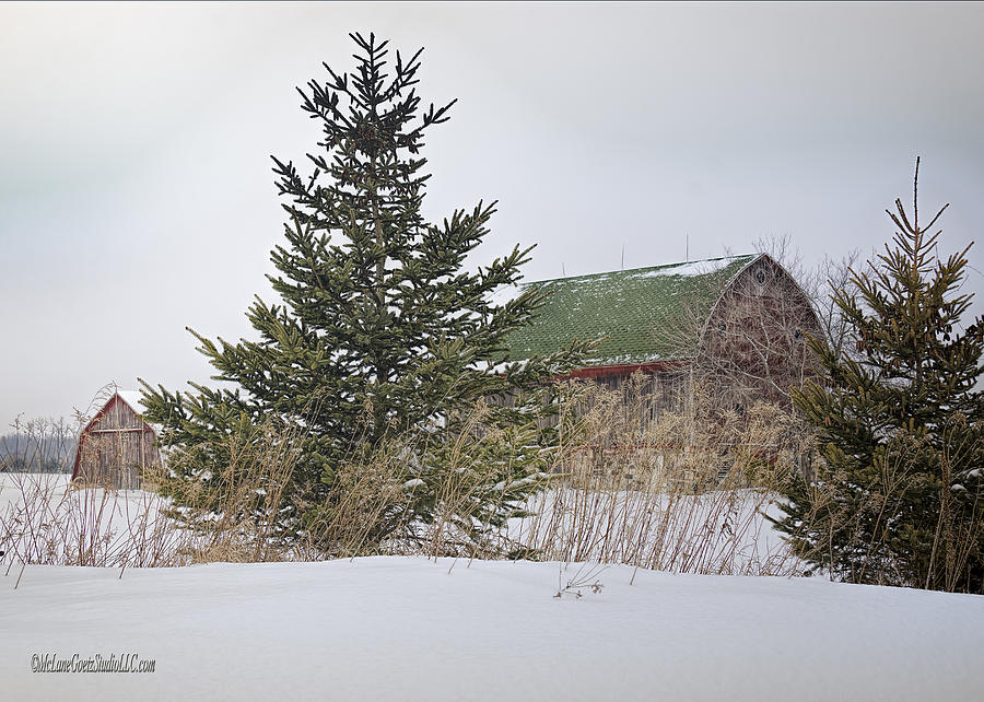 Snow Covered Michigan Barns #1 Photograph by LeeAnn McLaneGoetz McLaneGoetzStudioLLCcom