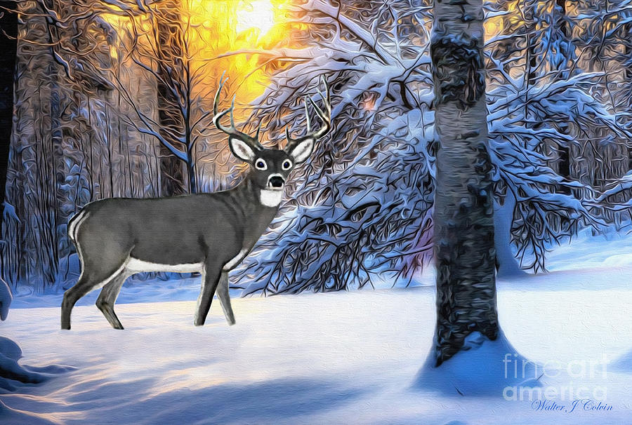 Snow Deer #1 Digital Art by Walter Colvin