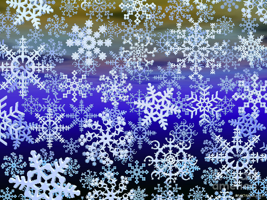 Pattern Digital Art - Snow Flakes 2 by Walter Neal