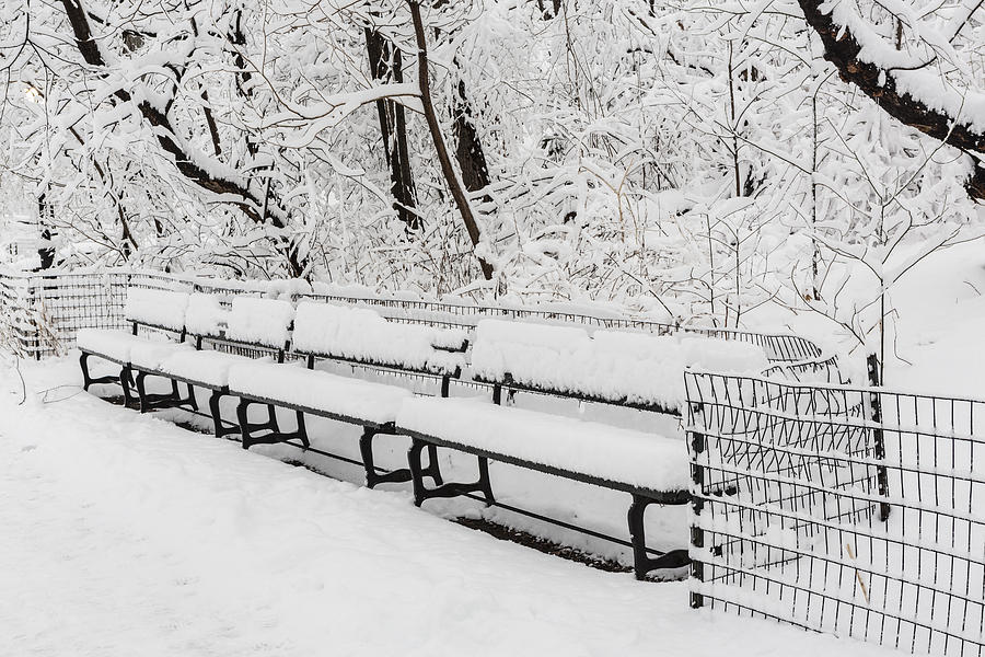 Central Park Photograph - Snow In Central Park NYC #1 by Susan Candelario