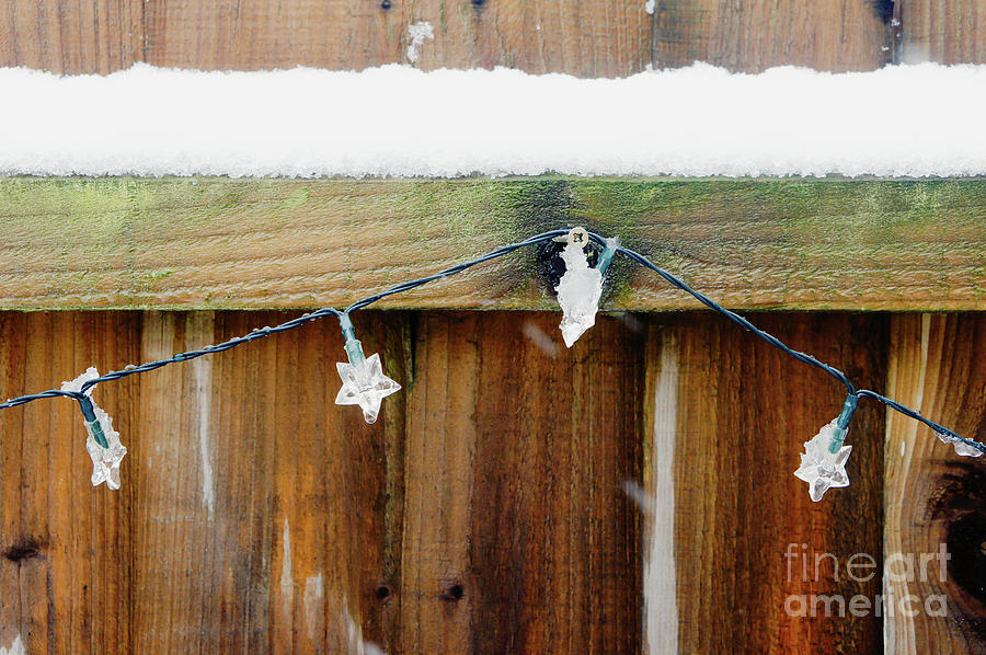 Abstract Photograph - Snow on a fence #1 by Tom Gowanlock