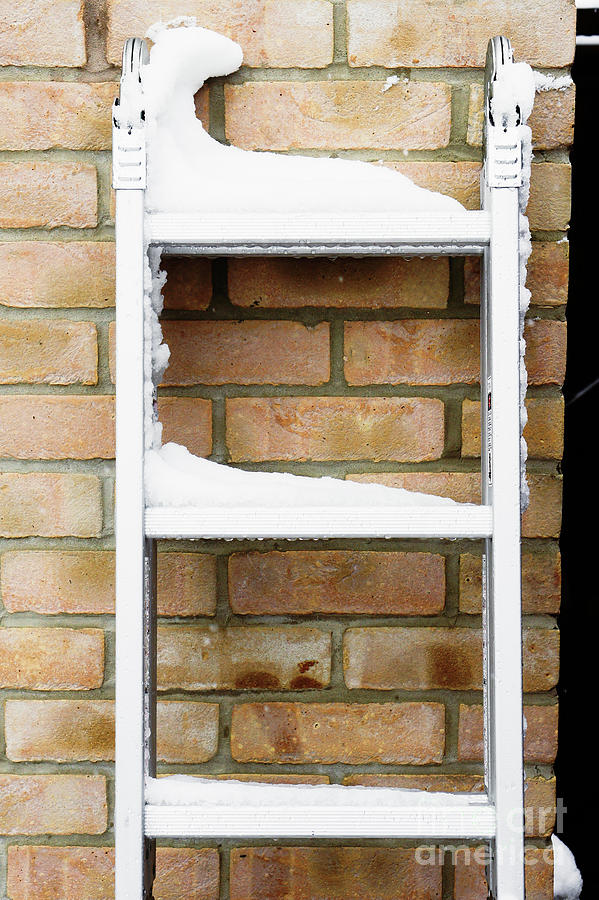 Snow on a ladder #1 Photograph by Tom Gowanlock
