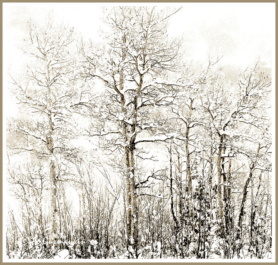 Snow Scene, Deciduous Trees, Digital Art #1 Digital Art by A Macarthur Gurmankin