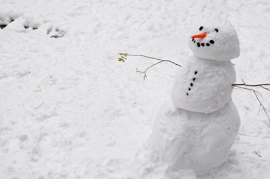 Snowman #1 Photograph by Jeremy Voisey