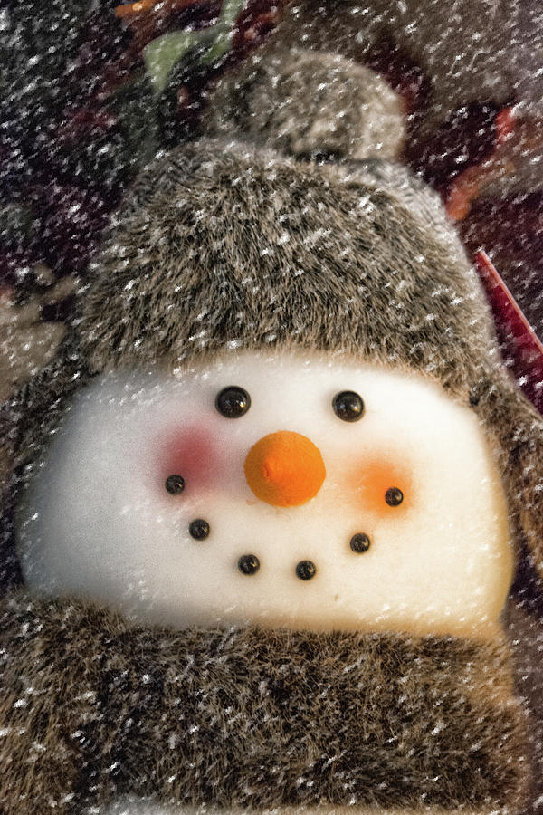 Snowman #1 Photograph by Pamela Williams