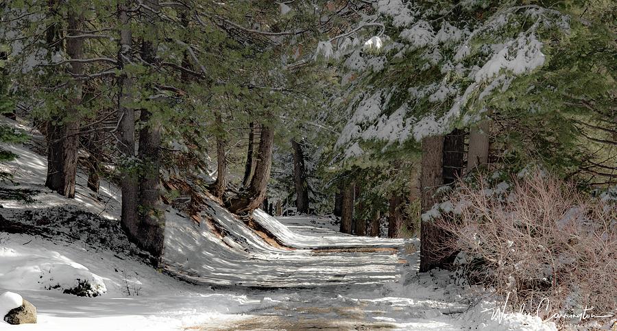 Snowy Path #2 Photograph by Wendy Carrington
