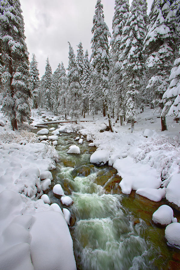 Sequoia National Park Photograph - Snowy River #1 by Brian Knott Photography