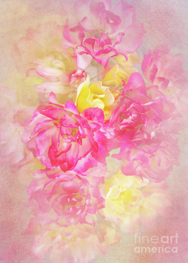 Soft Pastels #1 Photograph by Svetlana Sewell