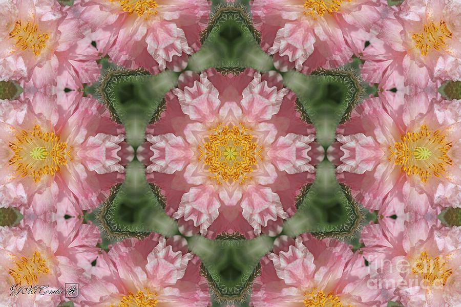 Soft Pink and White Angels Choir Mandala #2 Digital Art by J McCombie