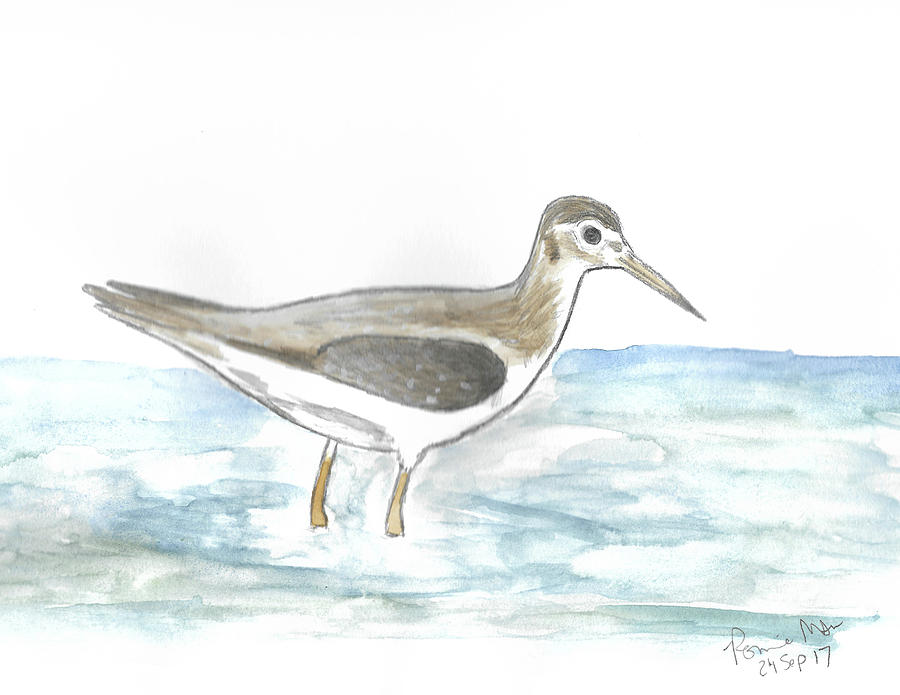 Solitary Sandpiper #1 Mixed Media by Ronnie Maum
