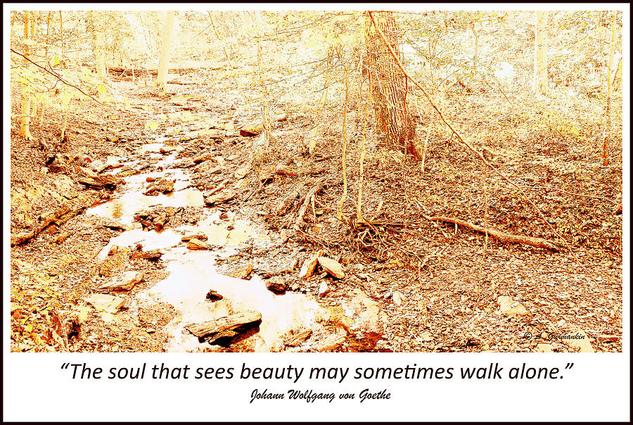 Solitude, A Pennsylvania Woodland Stream  #1 Digital Art by A Macarthur Gurmankin