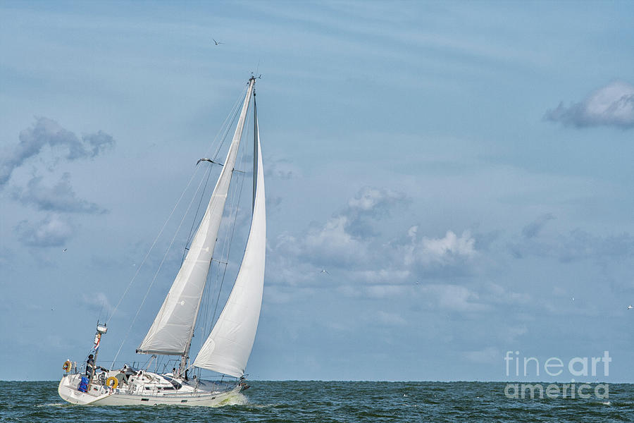 Solo sailing Photograph by Patricia Hofmeester