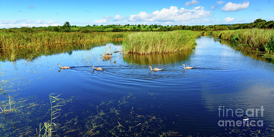 Somerset Levels Photograph by Colin Rayner