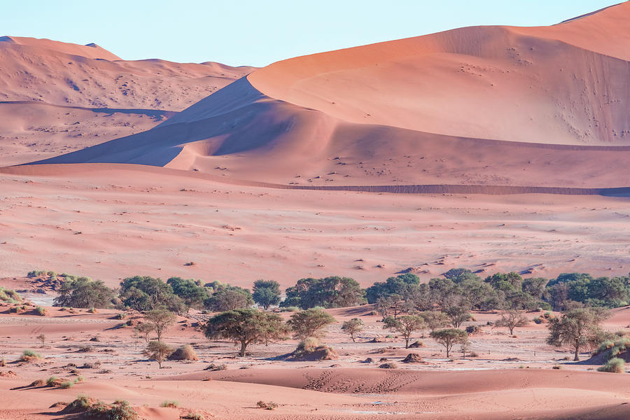 Sossusvlei - Namibia #1 Photograph by Joana Kruse