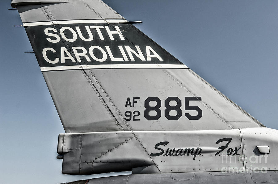 South Carolina Swamp Fox Photograph