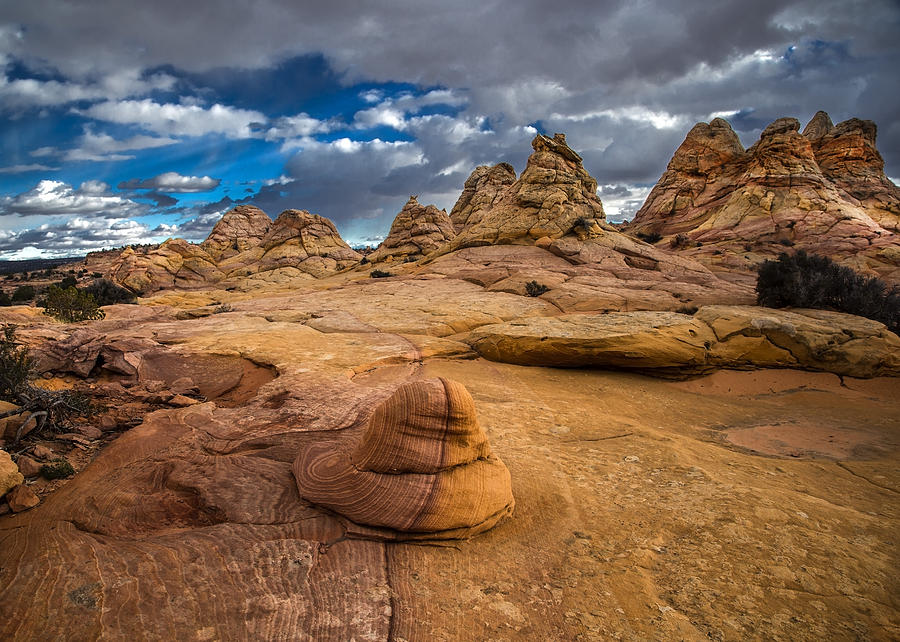 South Coyote Buttes #1 Photograph by Michael Just