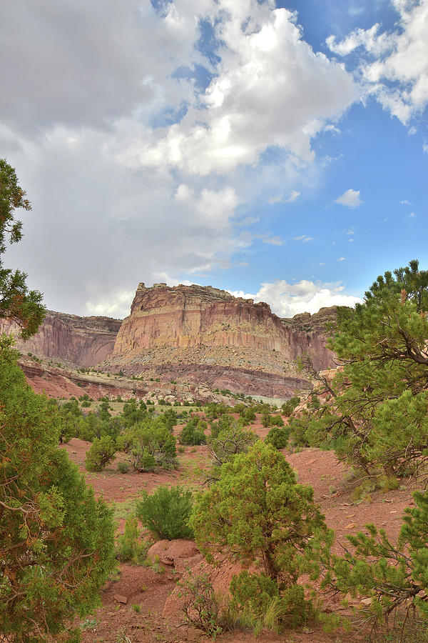 Capitol Reef National Park Photograph - South Scenic Drive in Capitol Reef  #1 by Ray Mathis