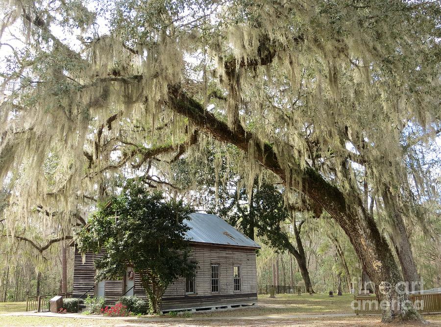Southern Country Church #1 Photograph by Tim Townsend