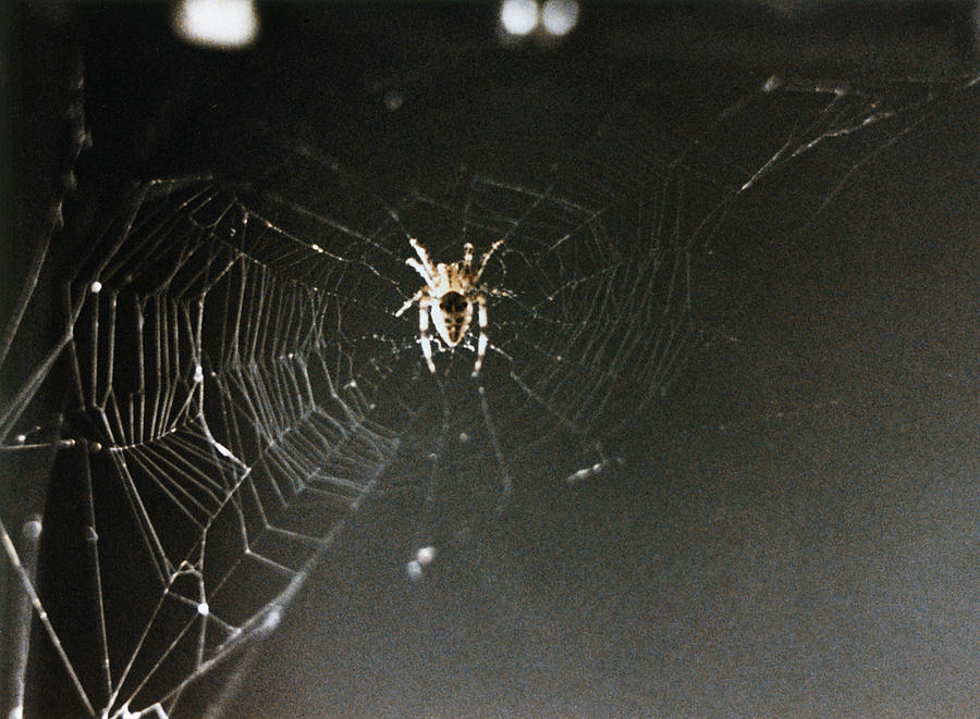 Space: Spider, 1973 Photograph by Granger - Fine Art America