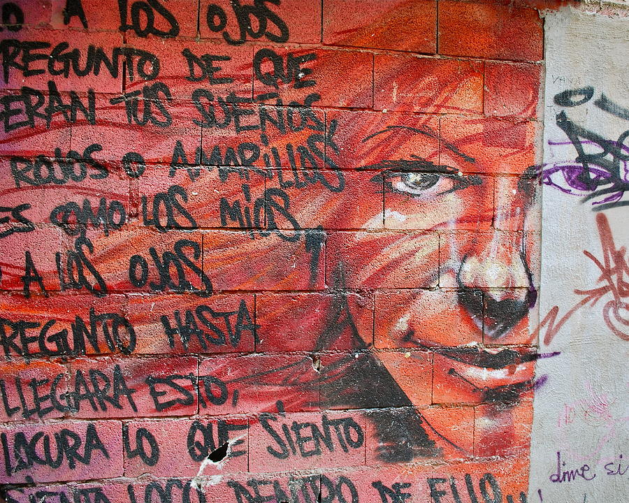Spanish Graffiti #1 Photograph by Dorota Nowak