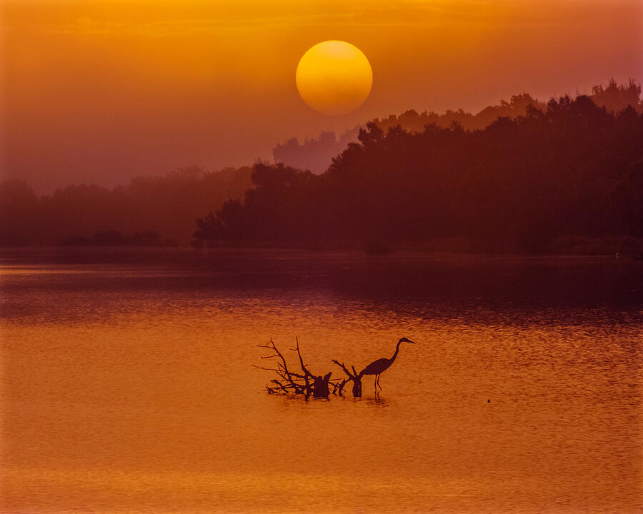 Spanish Lake Sunrise No.21 Photograph by Michael DeBlanc - Fine Art America