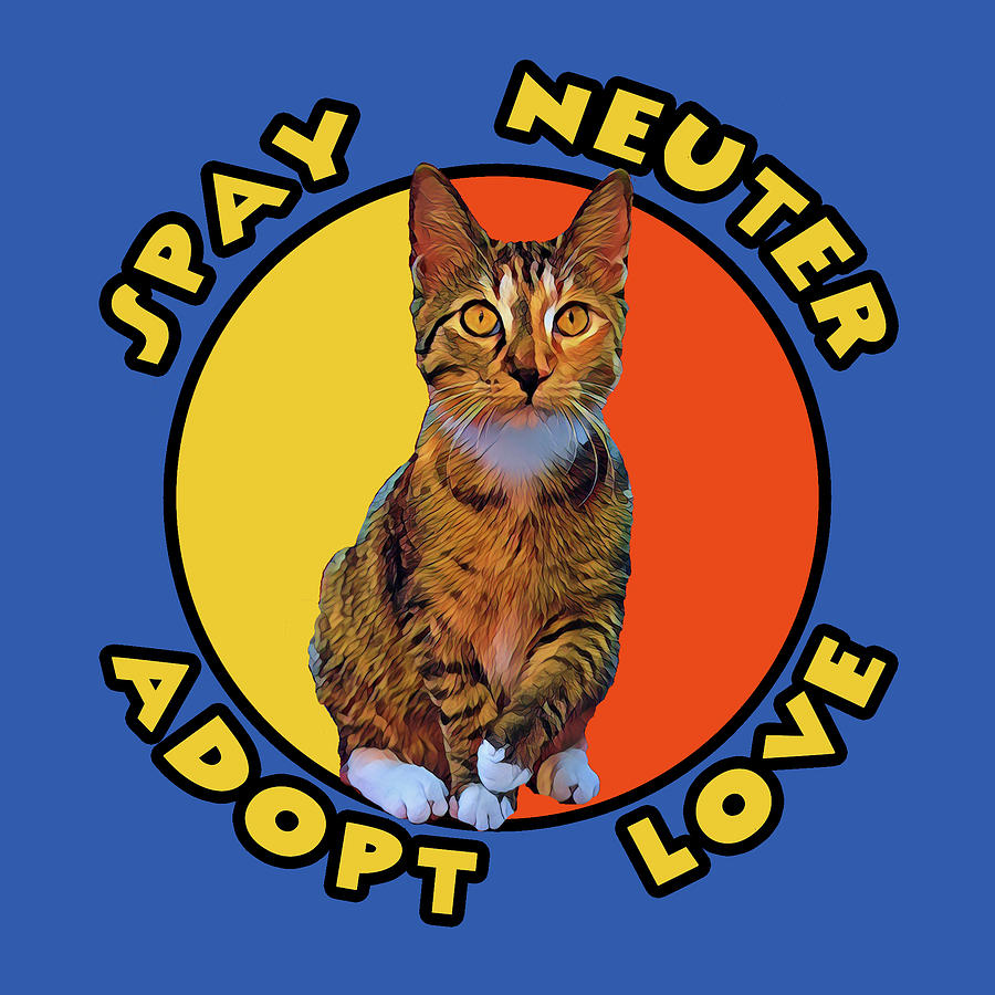 Spay Neuter Adopt Love #1 Digital Art by David G Paul
