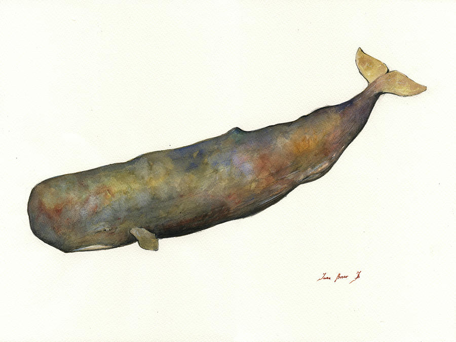 Whale Nursery Painting - Sperm whale #1 by Juan Bosco