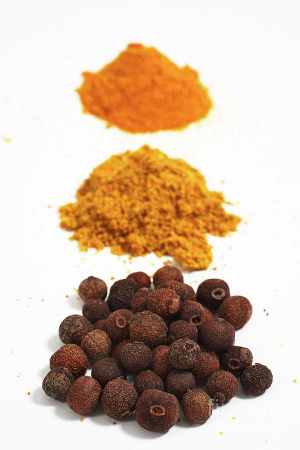 Spices #1 Photograph by Gaspar Avila