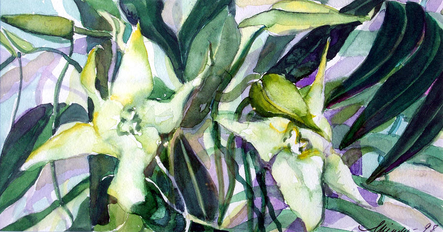 Spider Orchids #3 Painting by Mindy Newman