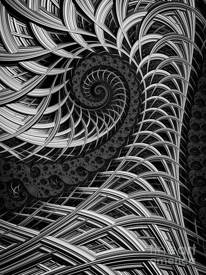 Spiral Cage Digital Art