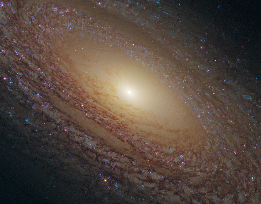 Spiral Galaxy NGC 2841 #1 Photograph by Eric Glaser