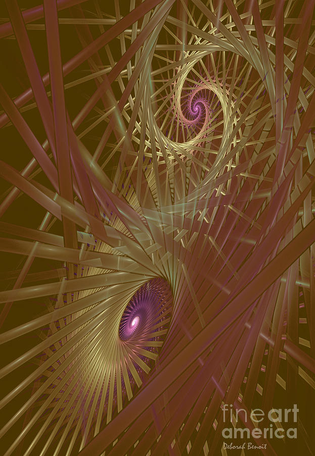 Spiral Maze  #1 Digital Art by Deborah Benoit