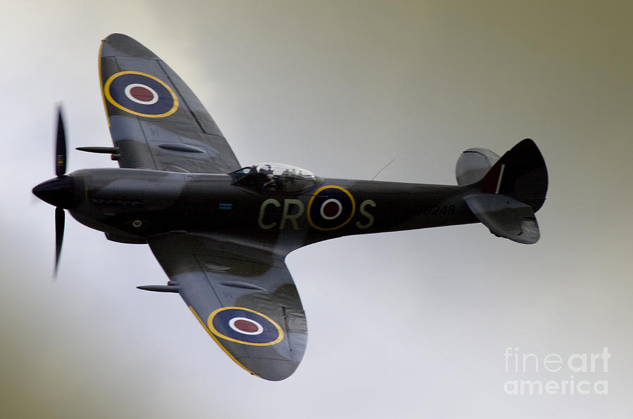 Spitfire #1 Photograph by Ang El