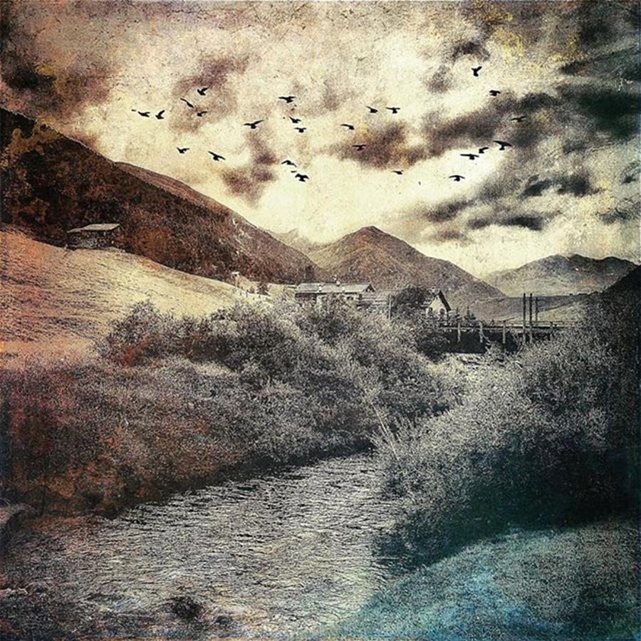 Bird Photograph - Spöl #mountainstream #iphone #1 by Roberto Pagani