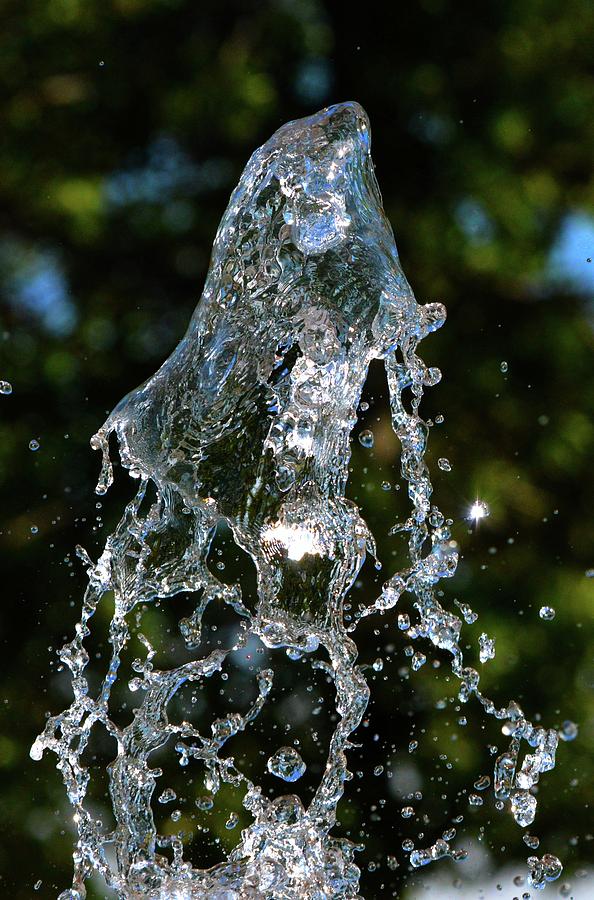 Splash #1 Photograph by Lyle Crump - Fine Art America