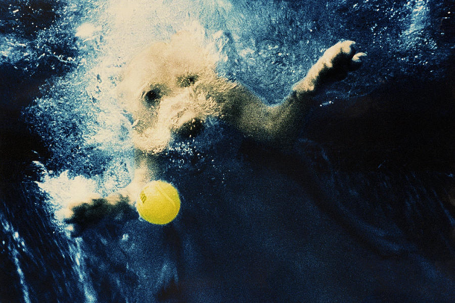 Splashdown #1 Photograph by Jill Reger